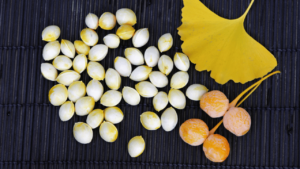 Ginkgo Biloba