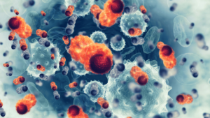 Métapneumovirus humain