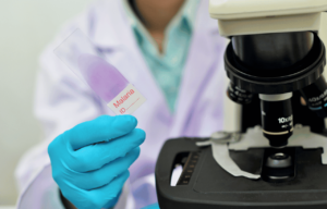 épidémie malaria Algérie
