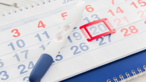 Calendrier de grossesse