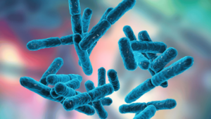 Bifidobacterium bacteria probiotique naturel