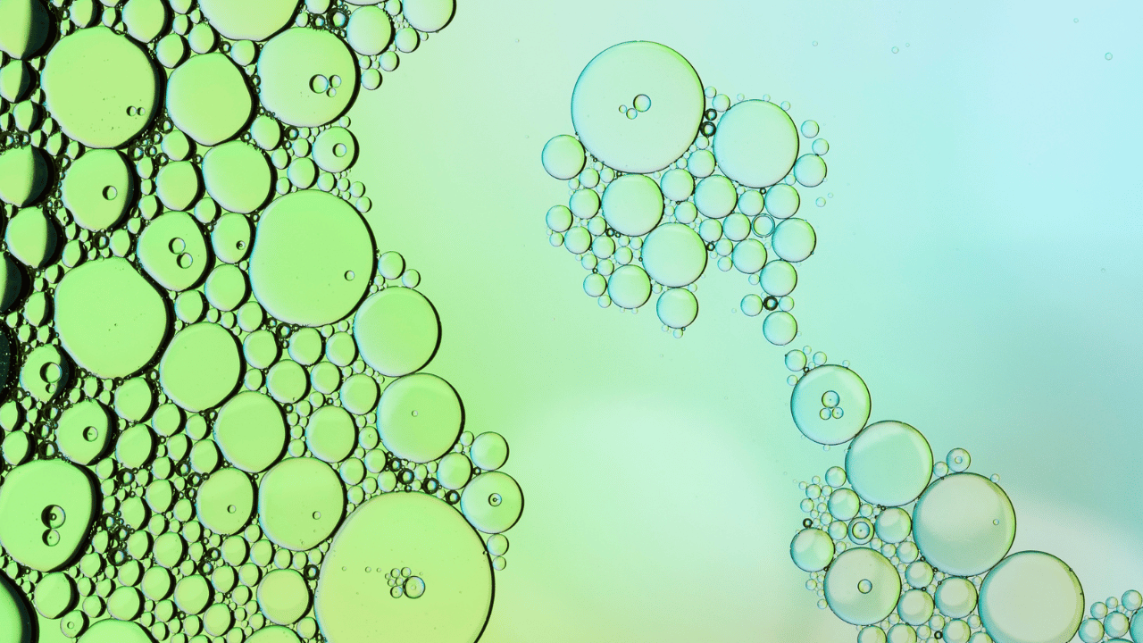 Faire baisser les gamma GT en 5 jours