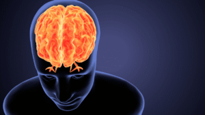 Test cerveau avec gorille