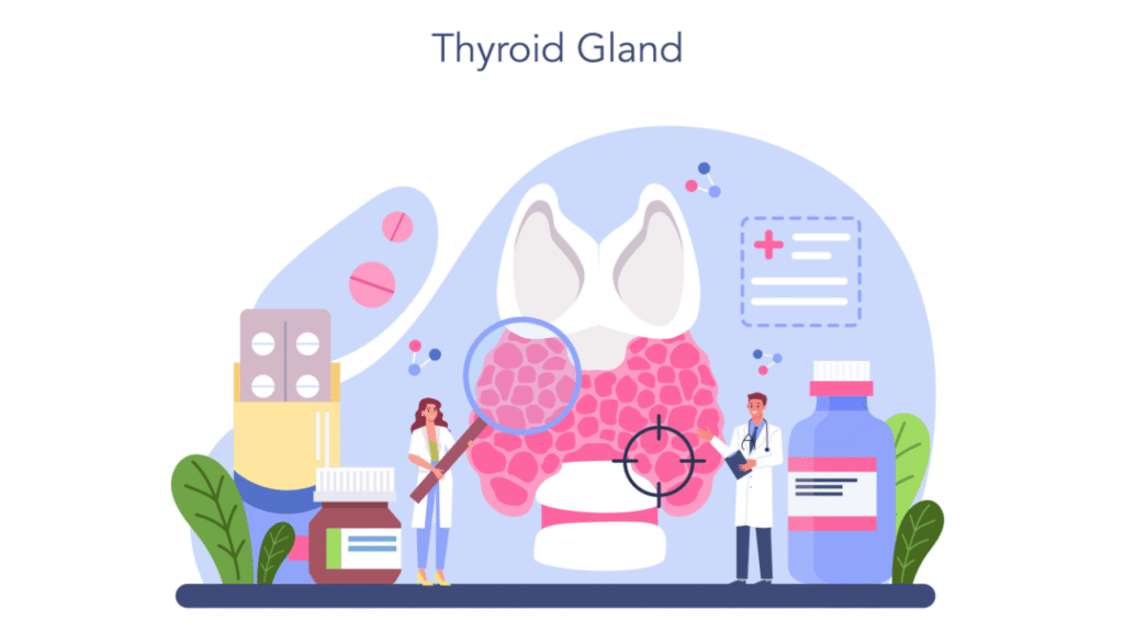 Comment trouver le bon dosage de Levothyrox